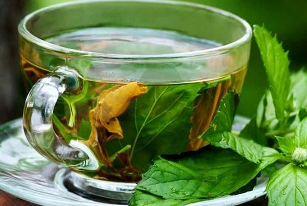 تصویر 5 از خرید و قیمت پونه کوهی ایلام + فروش عمده